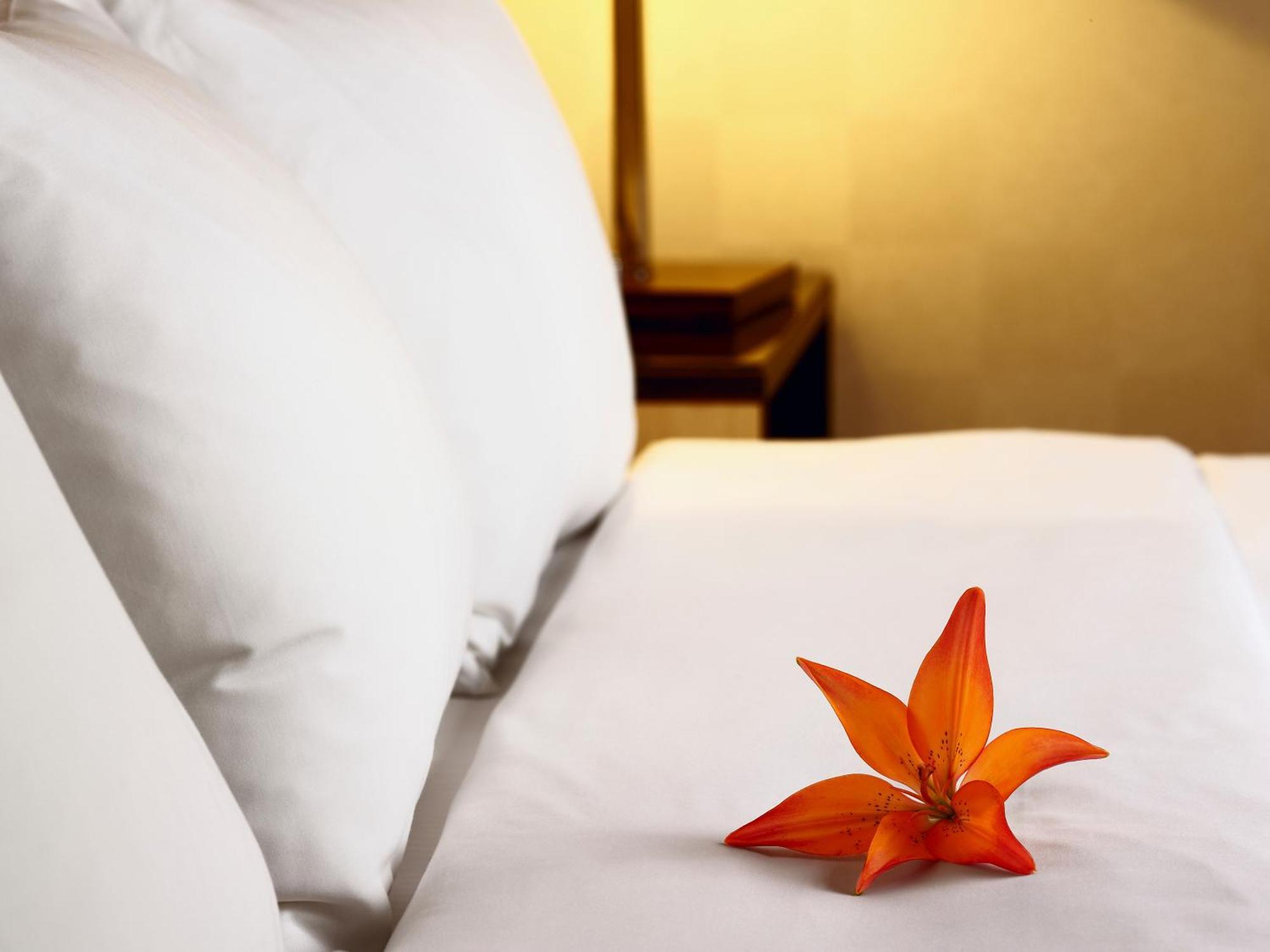 Hotel Acadia مدينة كويبيك المظهر الخارجي الصورة